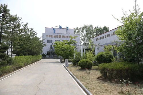 朝鮮版“小黑瓶”與消費文化之思