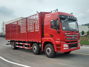 倉(cāng)柵式8-9.6米載貨車(chē)全解析 圖片、參數(shù)、對(duì)比與報(bào)價(jià)指南