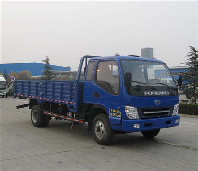 福田載貨汽車(chē) 中國(guó)物流運(yùn)輸?shù)闹袌?jiān)力量