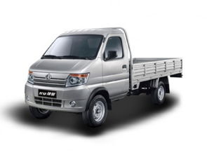 邢臺(tái)神騏T20 2018款 1.3L CNG載貨車(chē)標(biāo)準(zhǔn)型單排DAM13R 報(bào)價(jià)、降價(jià)趨勢(shì)與市場(chǎng)分析